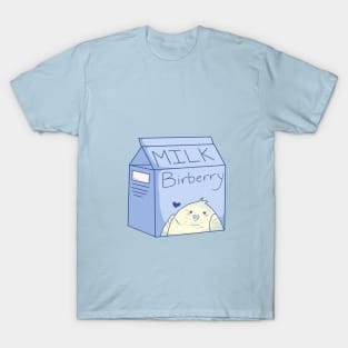 Birberry T-Shirt